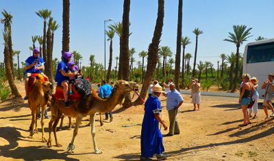 camel ride in palmery marrakech