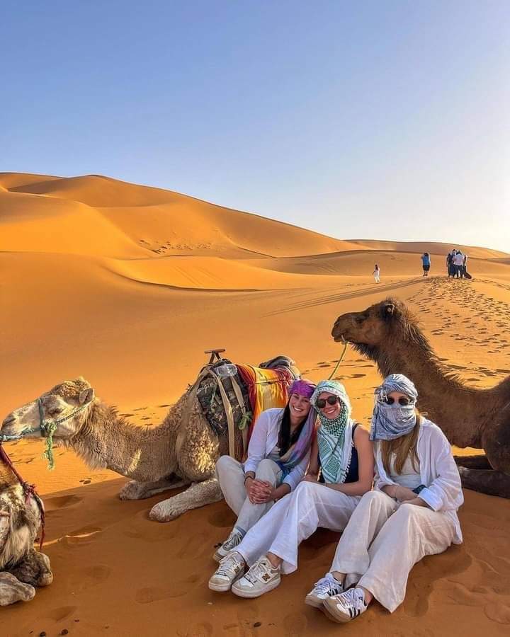 women tourists sitting near camels in desert