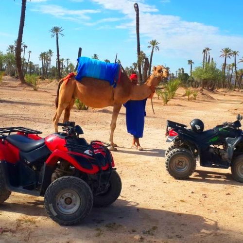 camel-man-and-quad-marrakesh