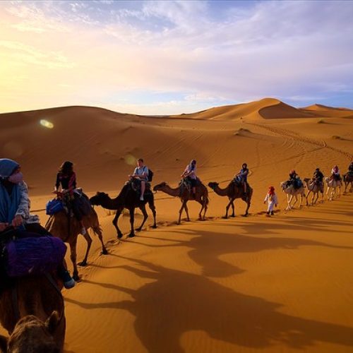 camel ride in sahara