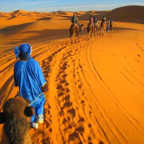 camel riding and sahara