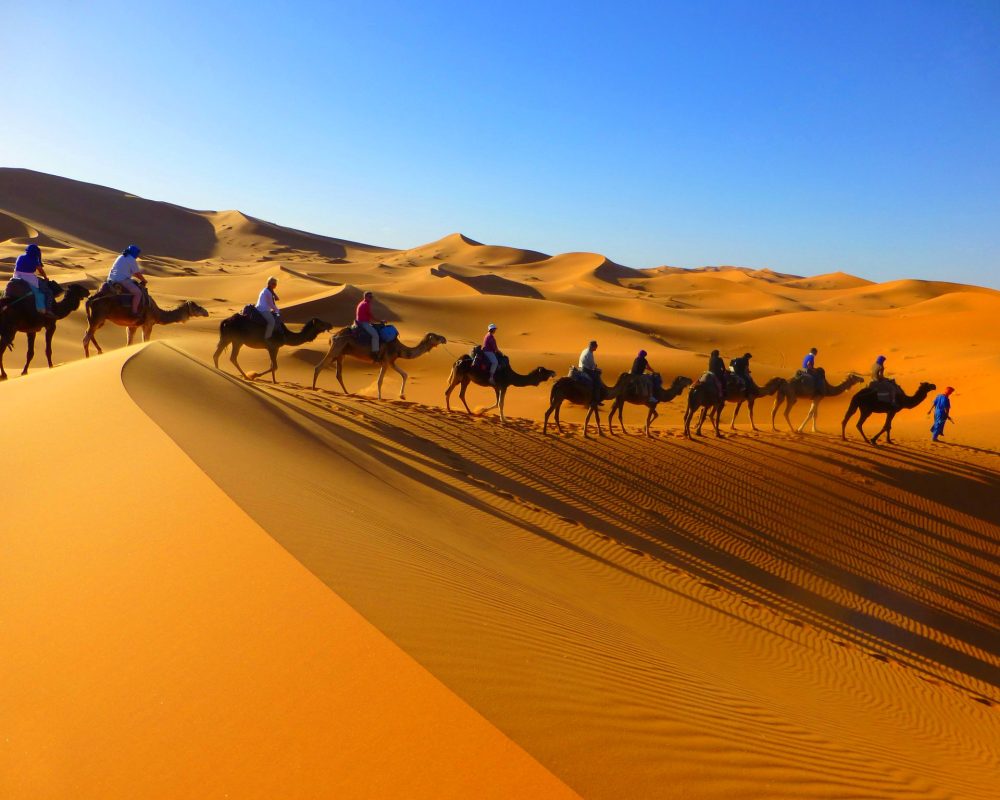 group of tourists riding camel in morocco sahara