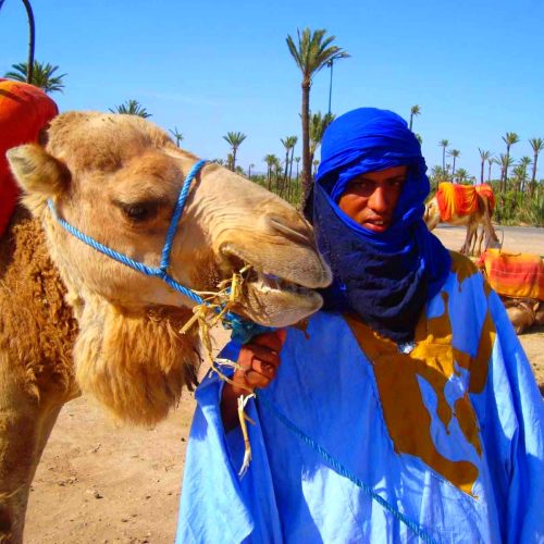 moroccan-camel-man