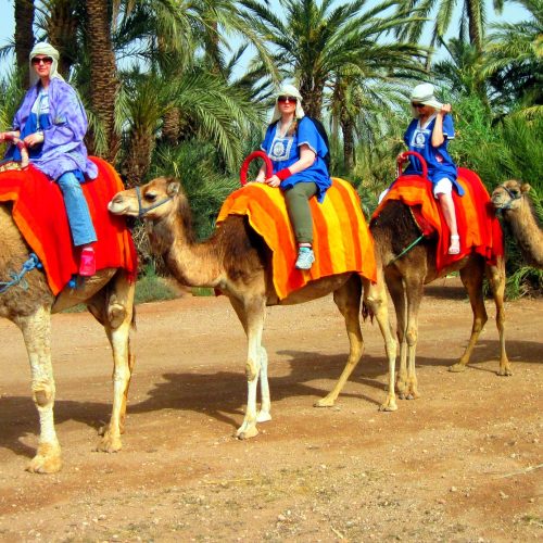 tourists-enjoying-camel-riding-in-marrakech