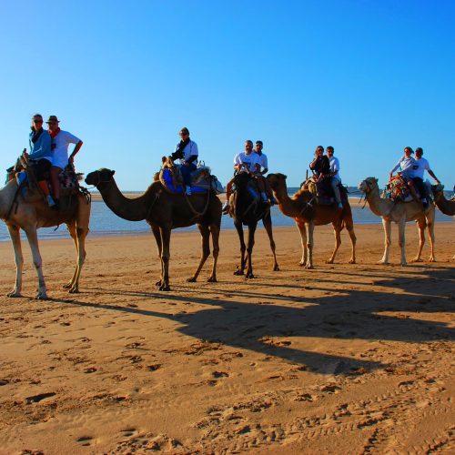 tourists-riding-camels-in-essaouira-beach