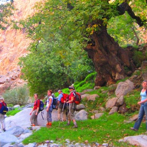 tourists trekkers